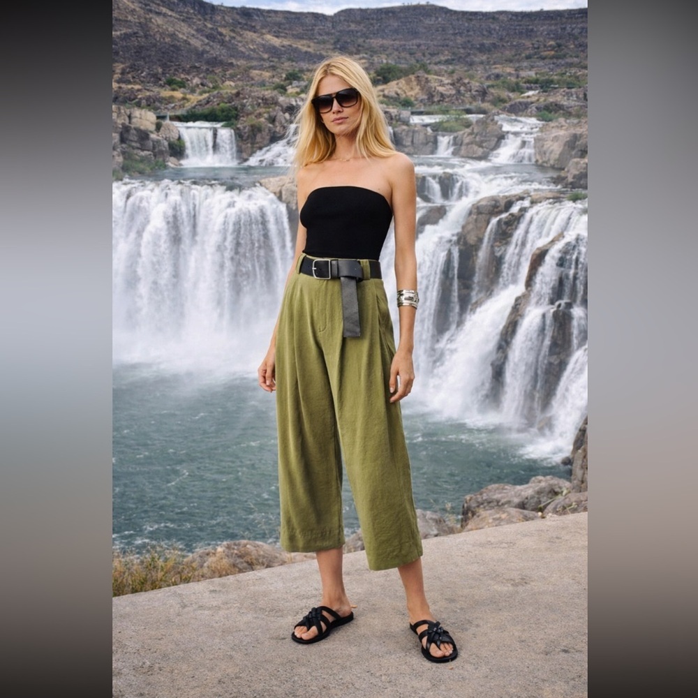 Anthropologie NWT Cropped Pleated Trousers size 4.